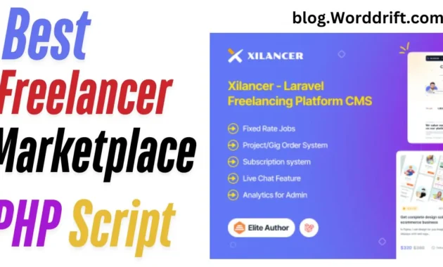 Best Freelancer Marketplace Script